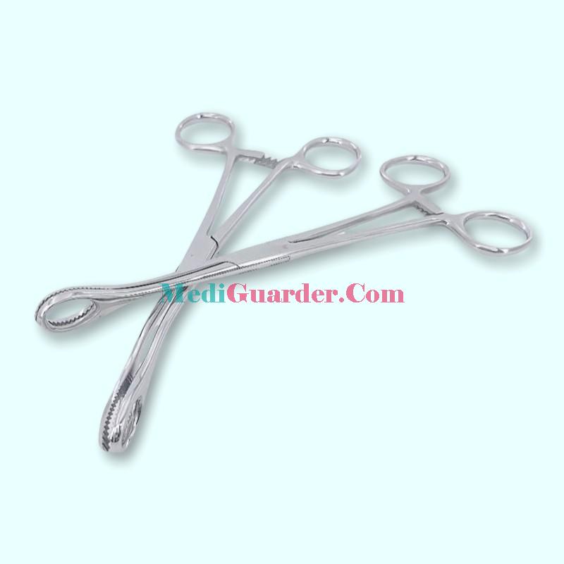 Medical Stainless Steel Sponge Forceps,Egg – shaped Forceps, Sponge Holding Forceps
