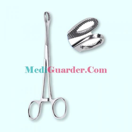 Medical Stainless Steel Sponge Forceps,Egg - shaped Forceps, Sponge Holding Forceps
